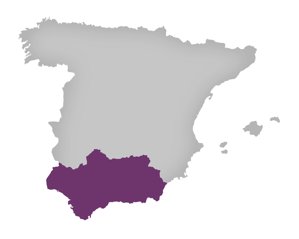 Винодельческий регион Андалусия