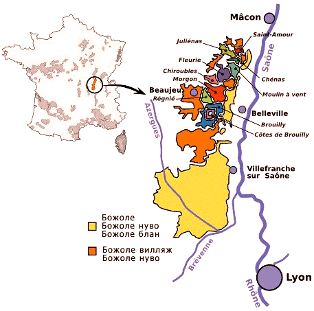 Регион Божоле на винной карте Франции