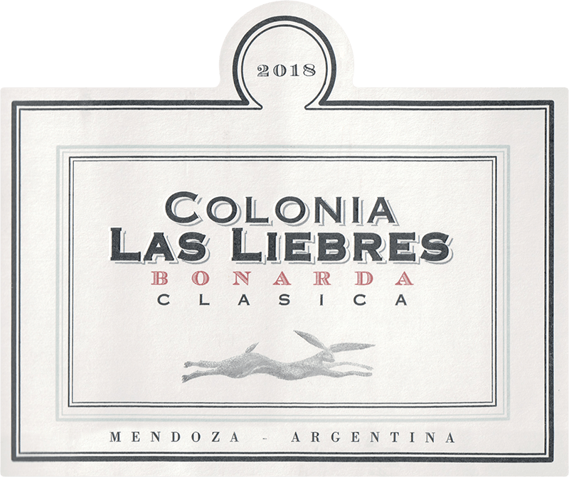 Аргентинское красное вино из сорта бонарда