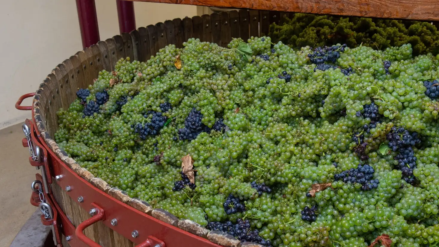 ���������� ����� ��������� � ������