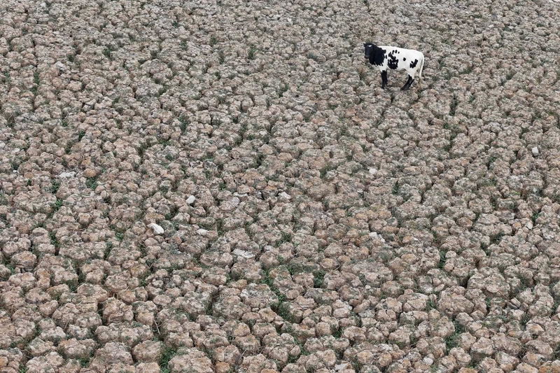 Засуха в Чили