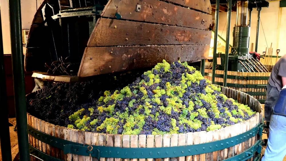 ������������ ���������� ����� Coquard