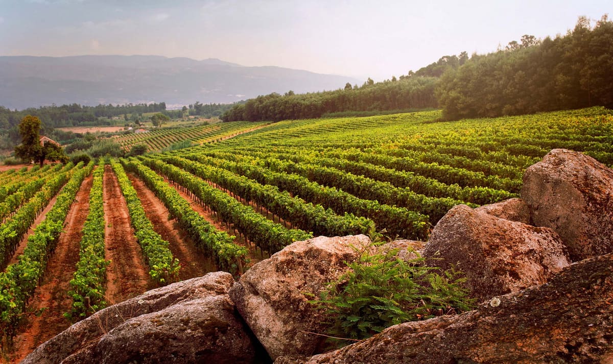 ������������� ���� ������� ���