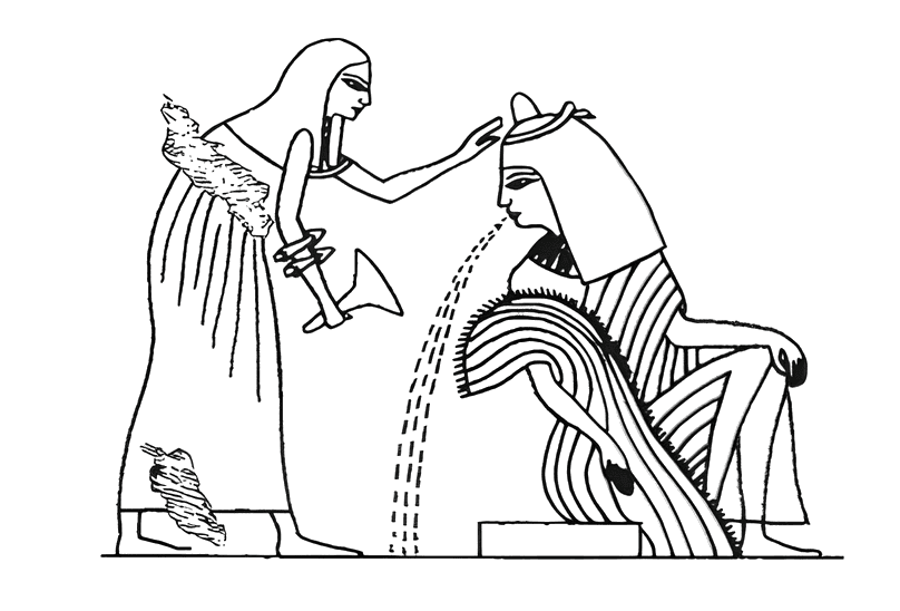 ���������������� ��������