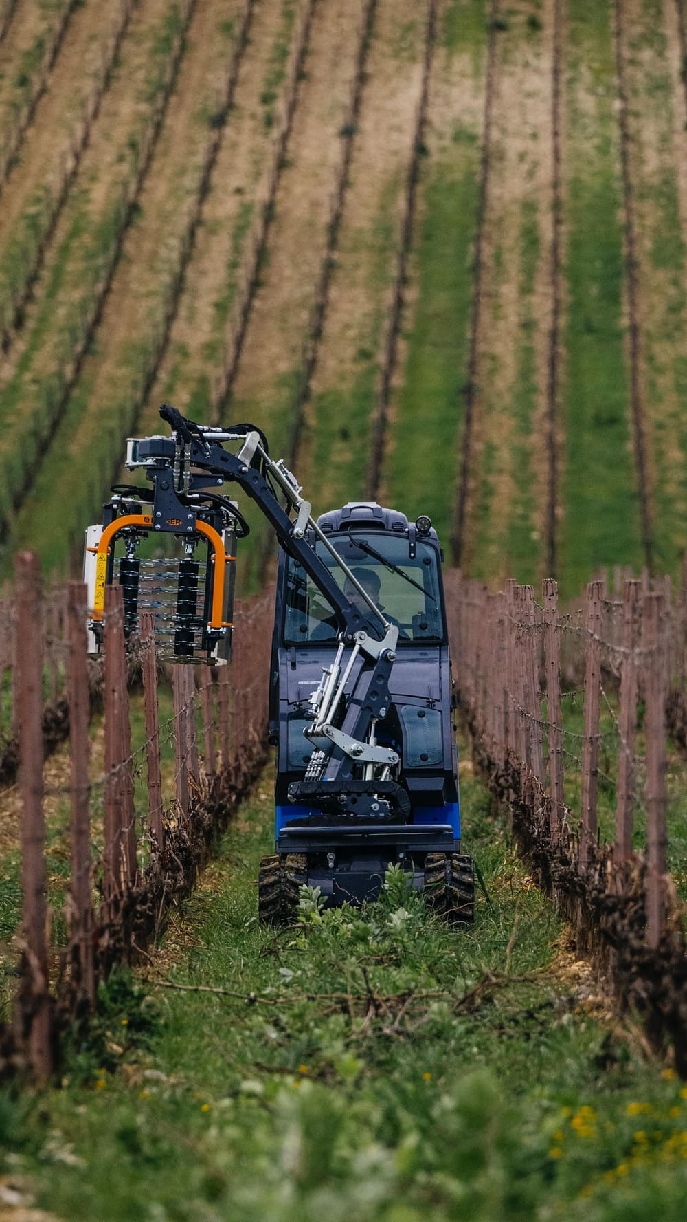 �������������� ������� �� ������������