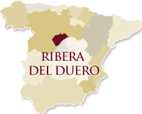 Винодельческий регион Рибера дель Дуэро