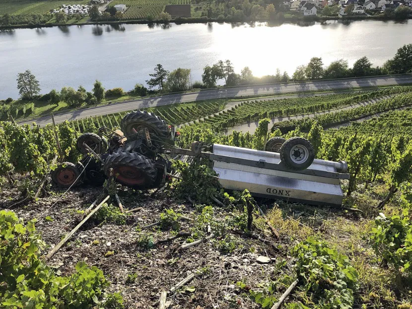 ������� ������������ �� ������������ � ������� �������