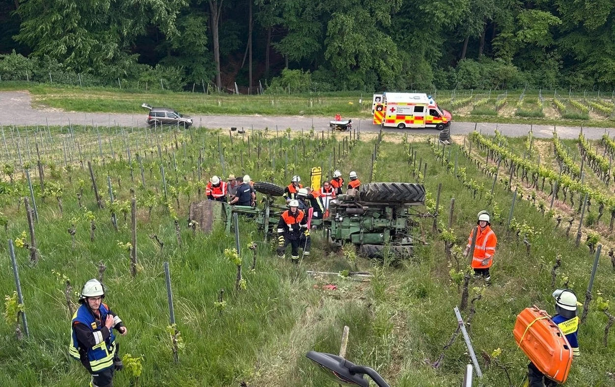 ���������� ������ �� �������������